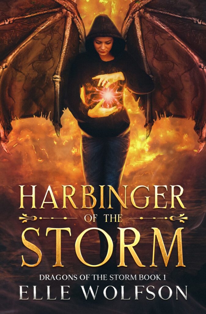 Book cover for Harbinger of the Storm